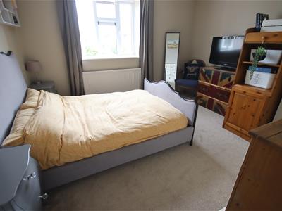 Picture 15